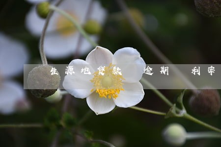 生源地贷款 逾期 利率 生源地贷款 逾期 利率